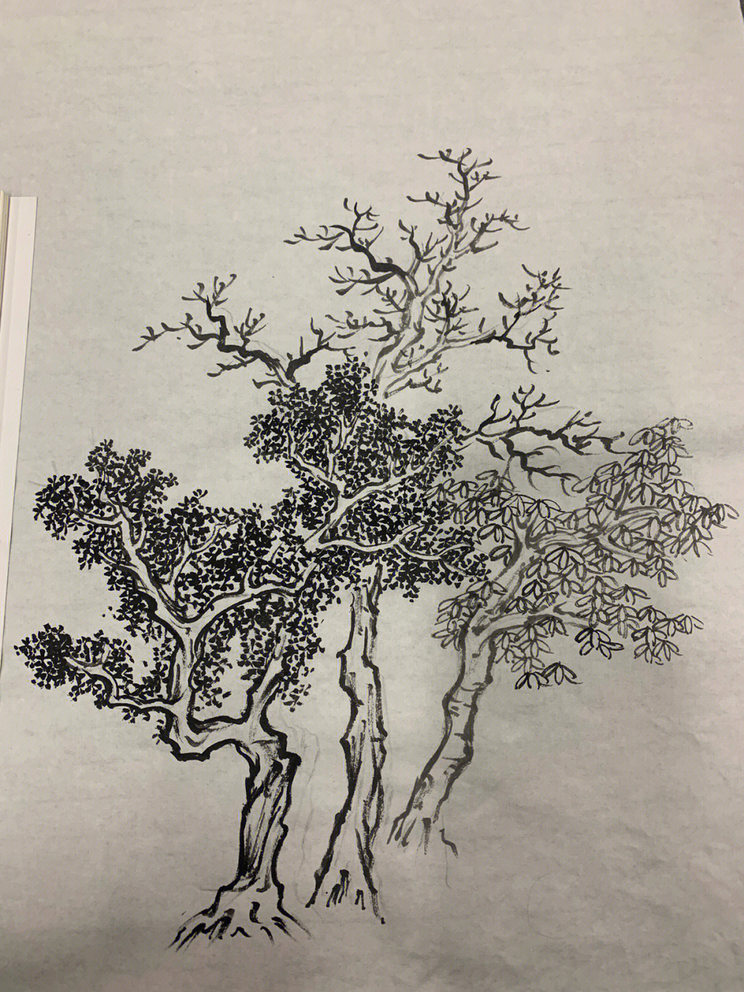 国画山水组树和临摹富春山居图局部