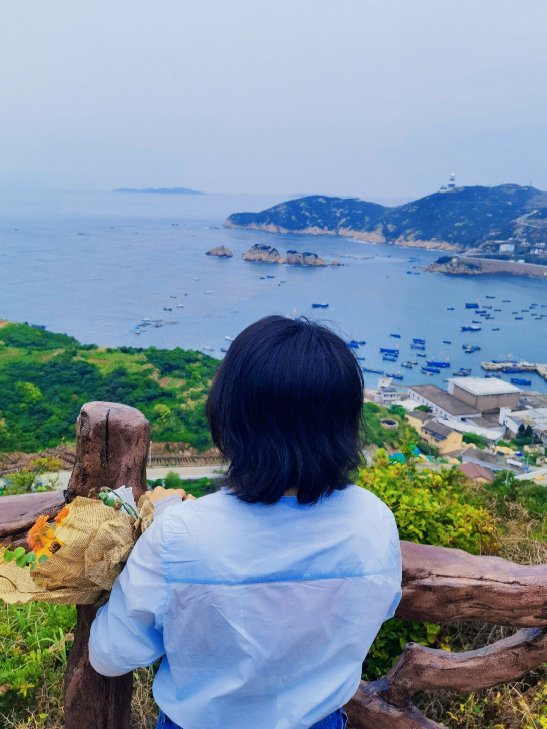 枸杞岛游记图片