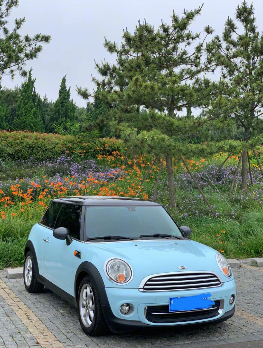 三门宝马mini