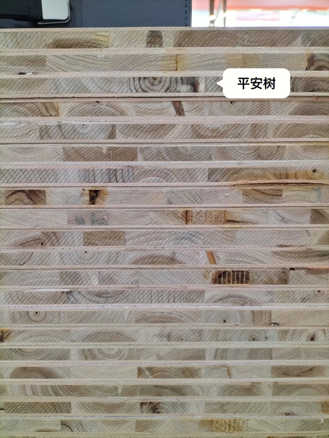 上海平安树板材图片