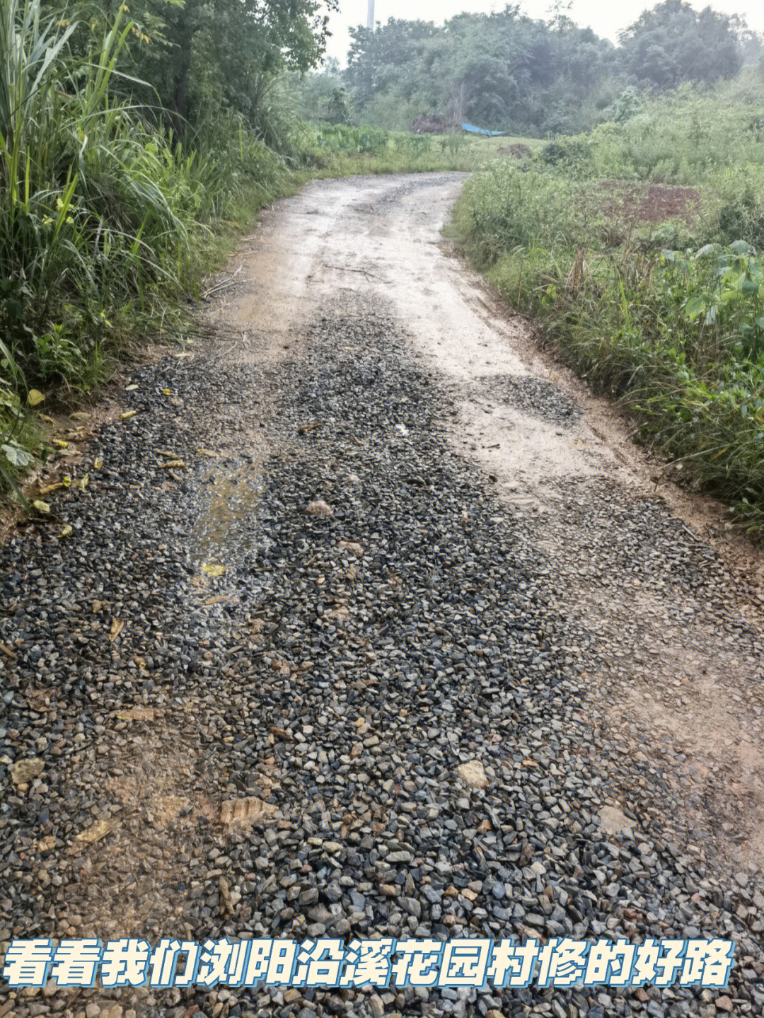 浏阳沿溪花园村的路这就是用石子铺平的