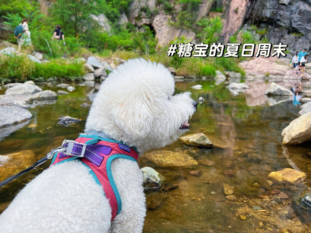 微风拂面潺溪泡jio惬意