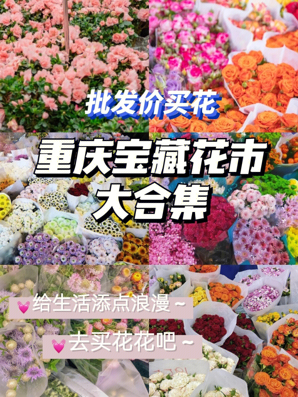 重庆旅游宝藏花市大合集价格低至一元