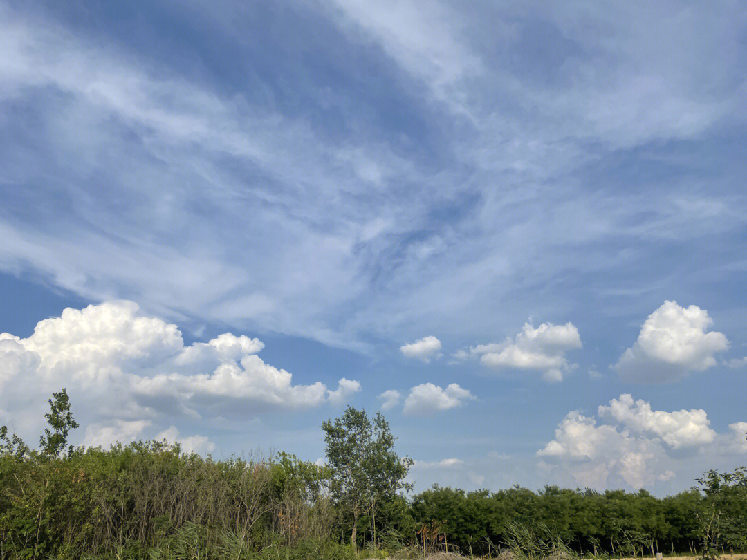 梦想的天空 高洪波图片