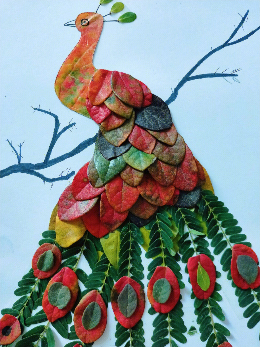 孔雀树叶画手工制作图片