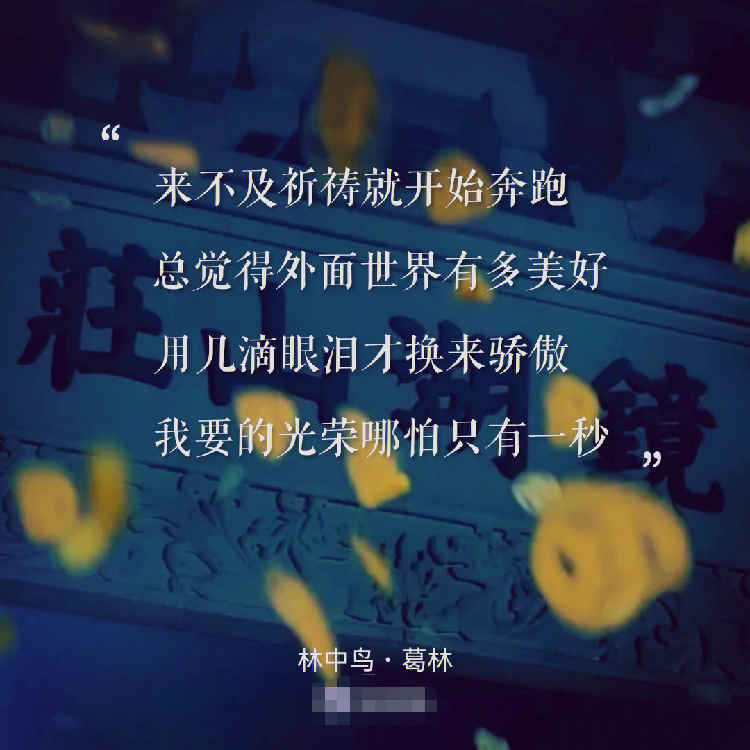 21105推荐一首高进作词的歌曲林中鸟