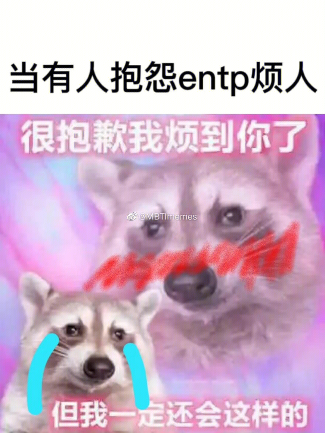 meme图entp图片