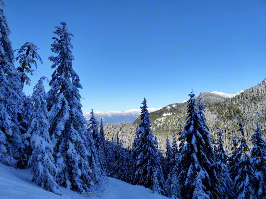 雪山徒步cypressmountain