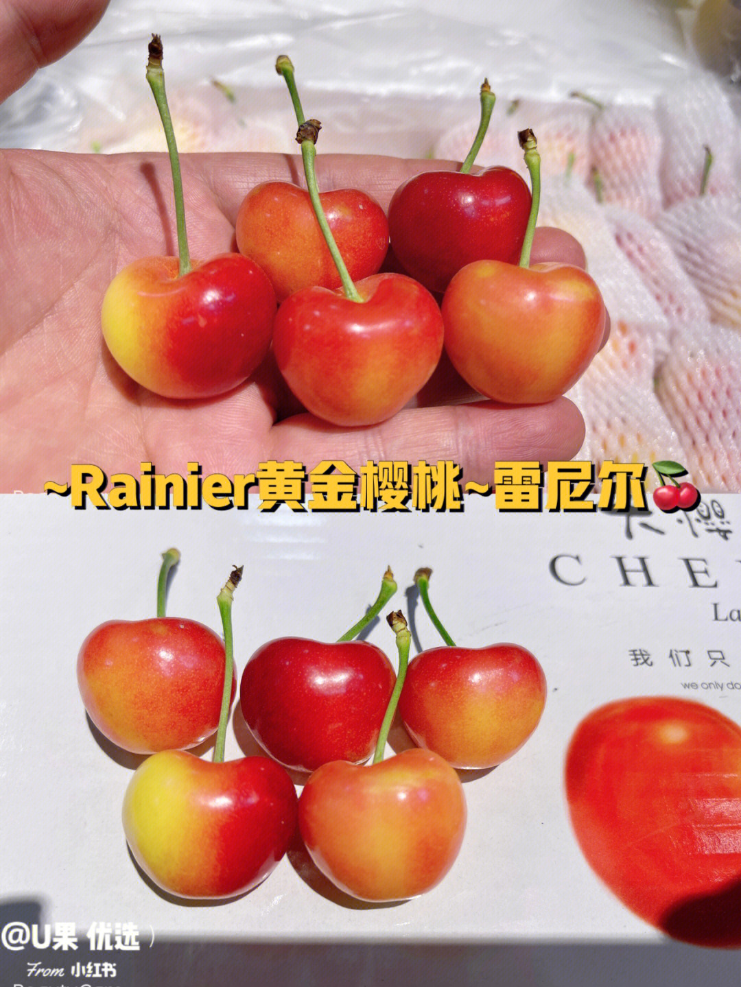 rainier车厘子产地图片