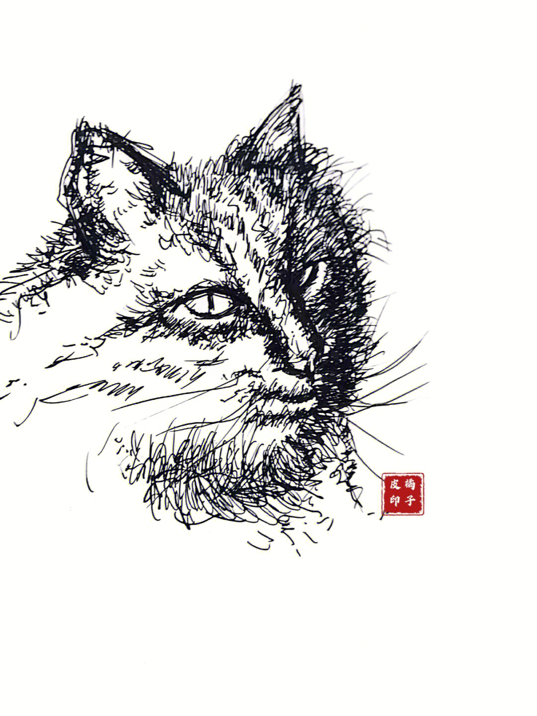 钢笔速写课14小动物猫咪