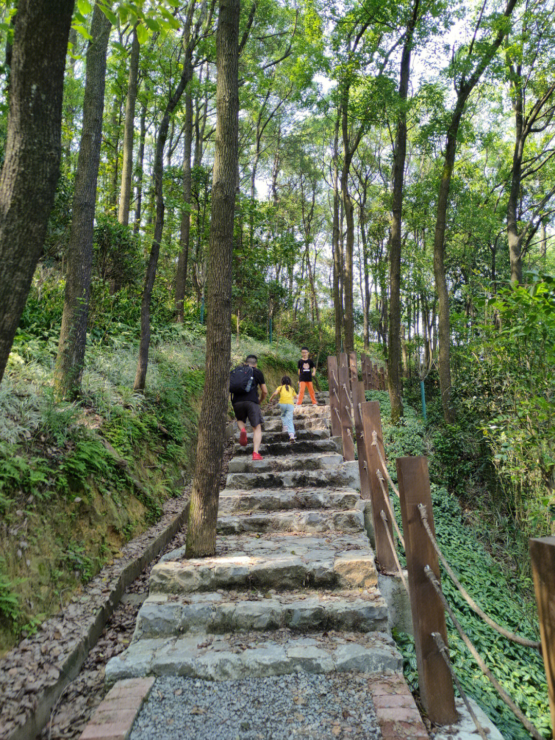 重庆市区登山好去处图片