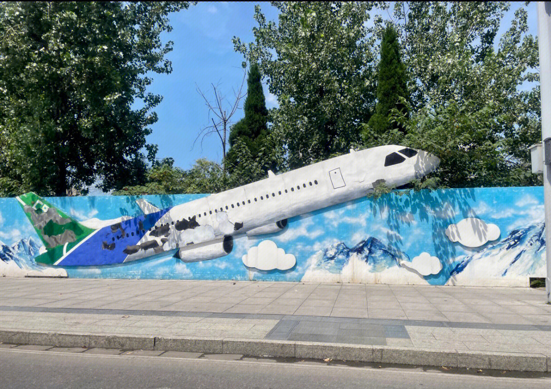 衡水航空飞行学院图片