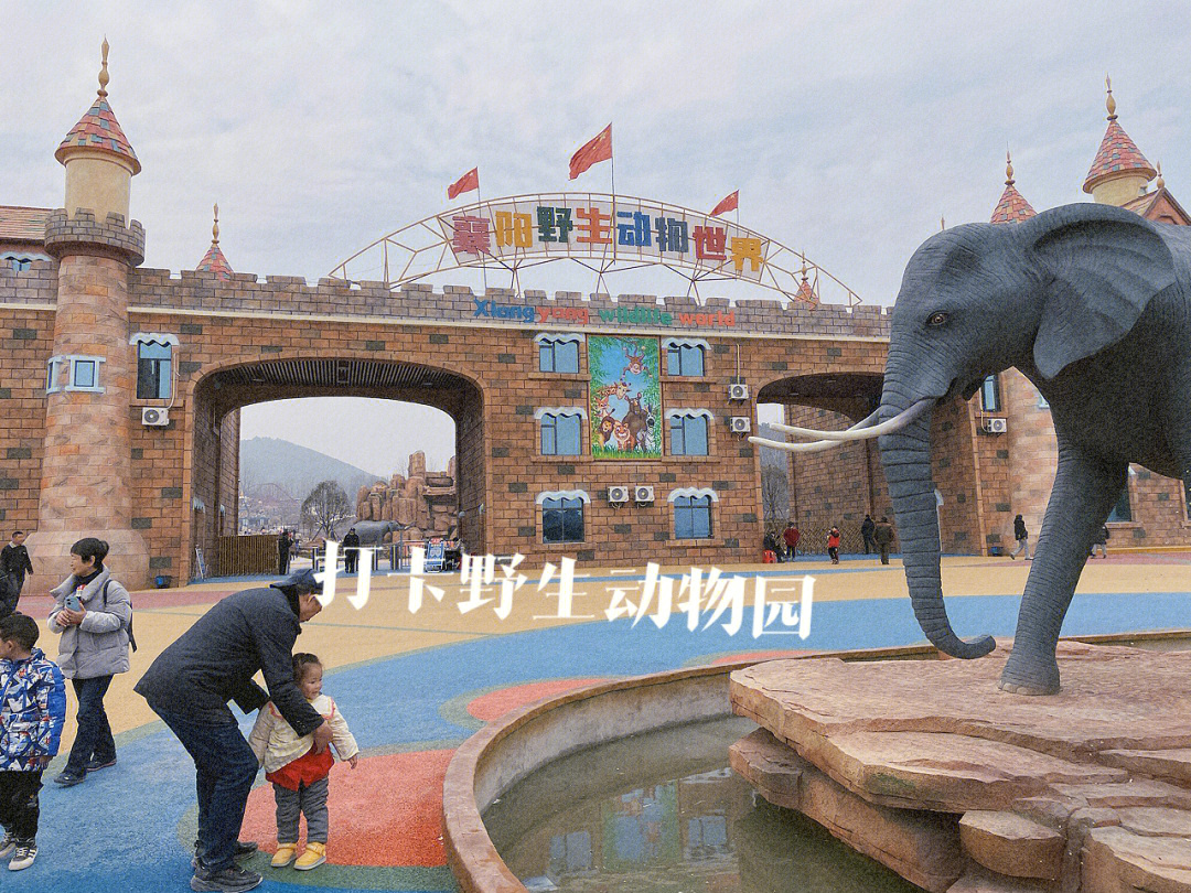 襄阳野生动物园开业图片