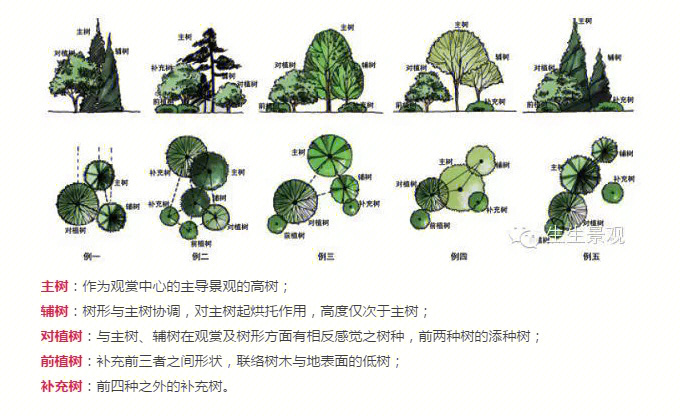 60乔灌草植物配置