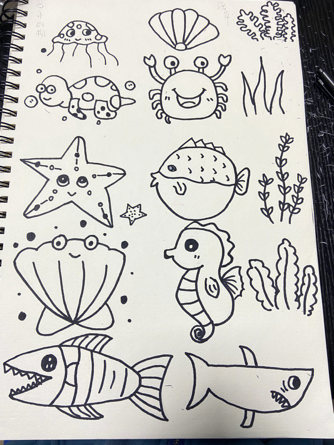 可爱的海底生物和海草简笔画