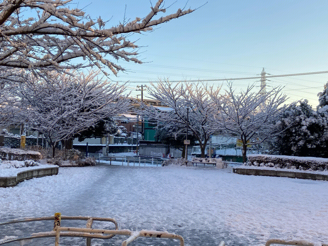 日本#雪景 难得下雪的东京.