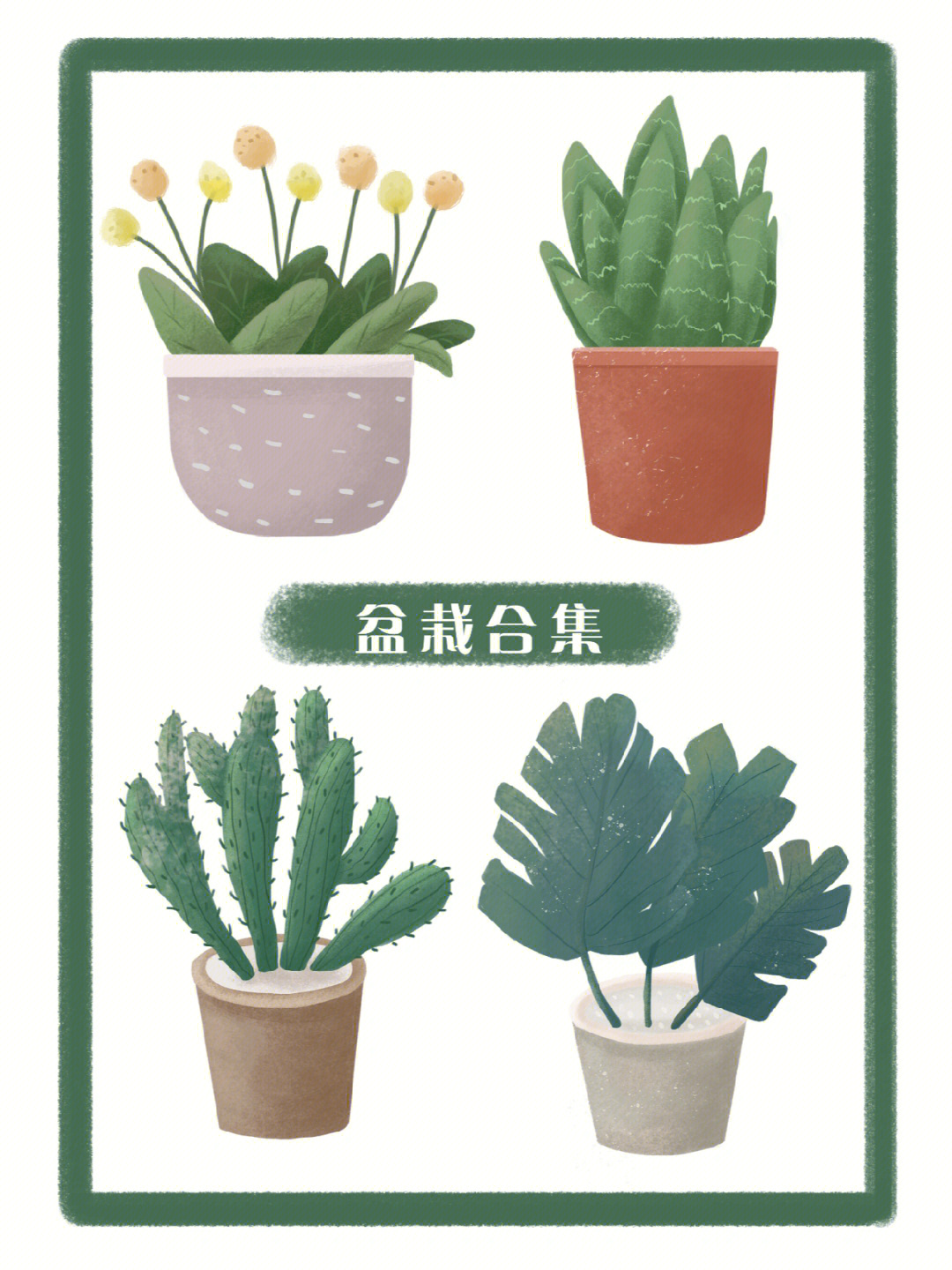 植物插画盆栽