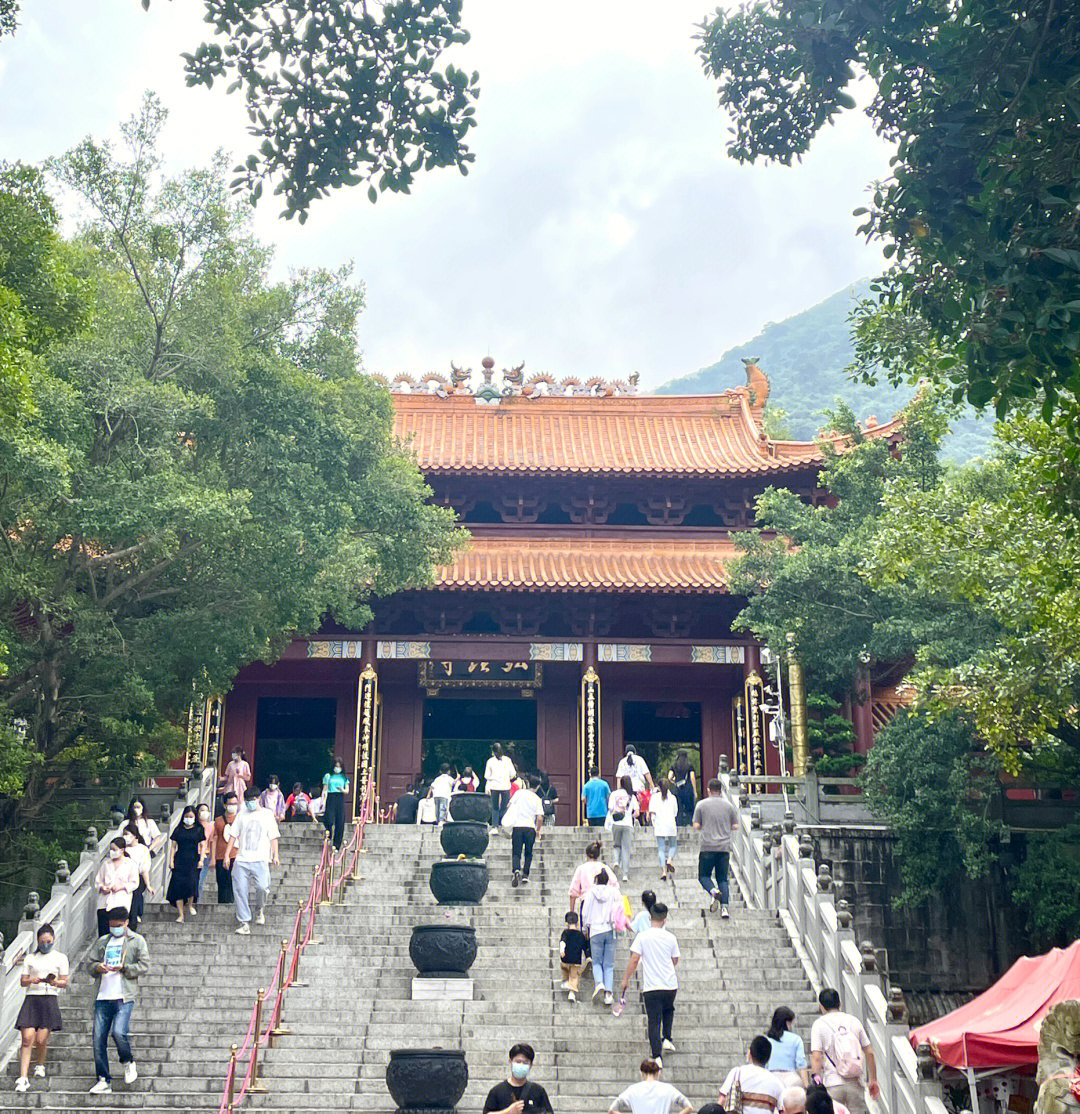 深圳最灵验的寺庙弘法寺攻略