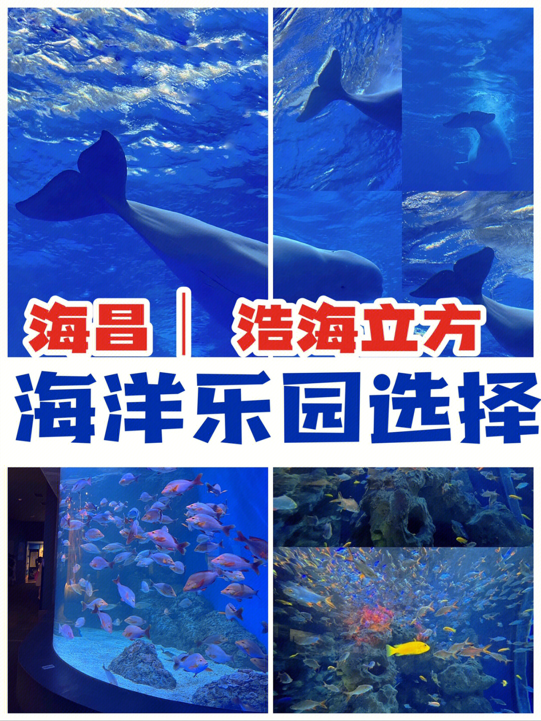 成都海洋馆地图图片