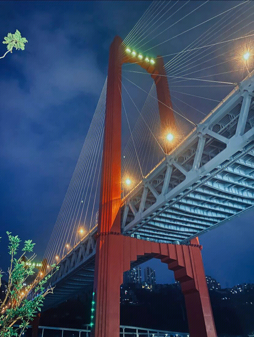 嘉陵江大桥夜景图片