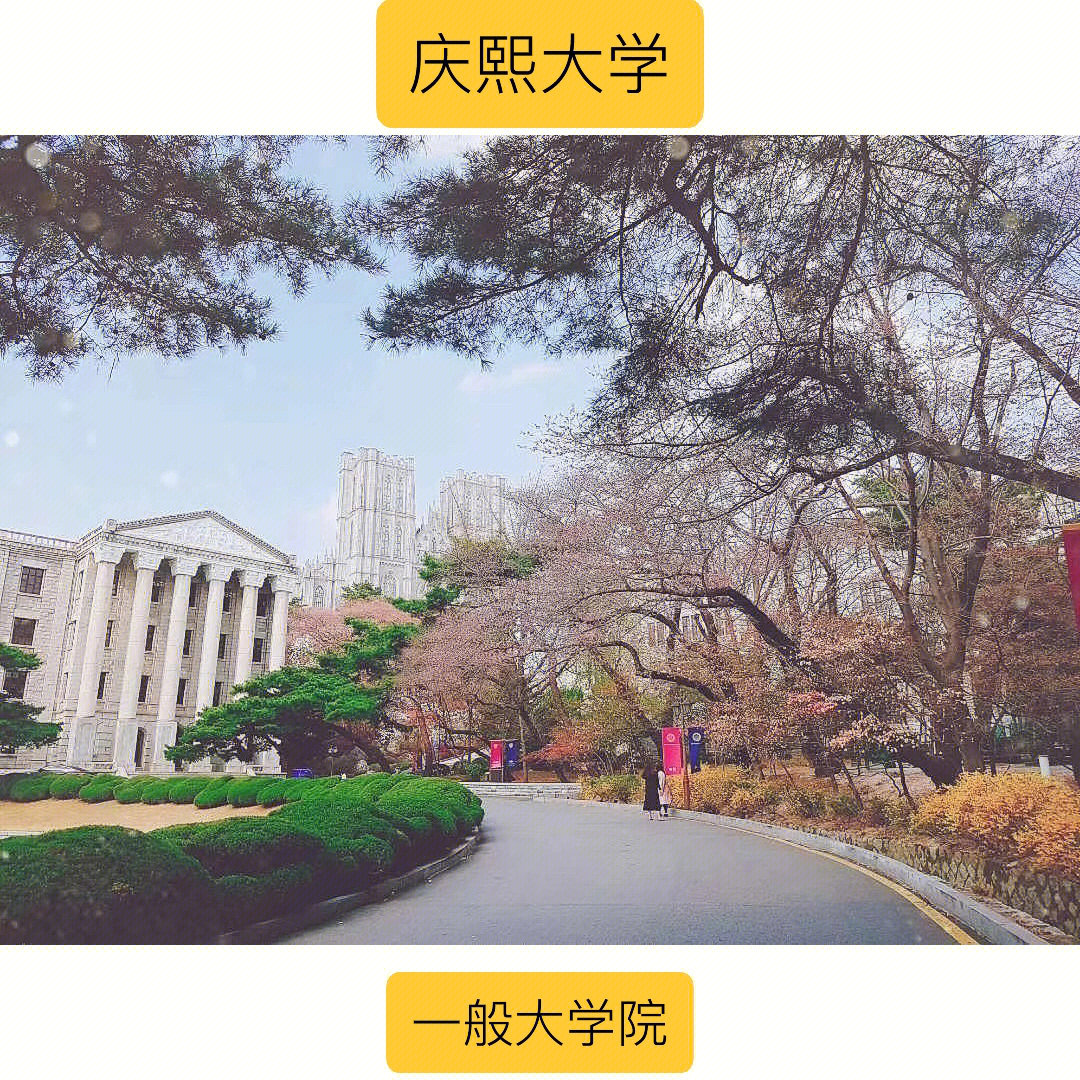 韩国庆熙大学博士专业图片