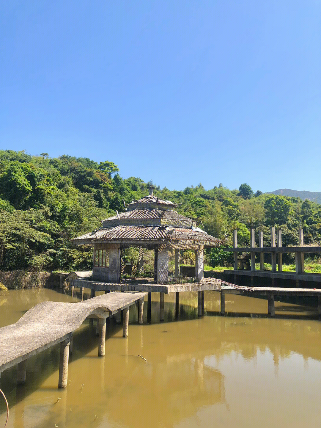 深圳鹅公村图片