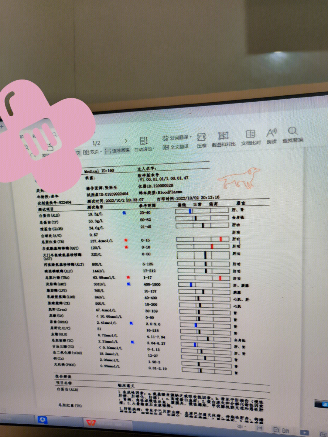 医生说狗狗黄疸急急急