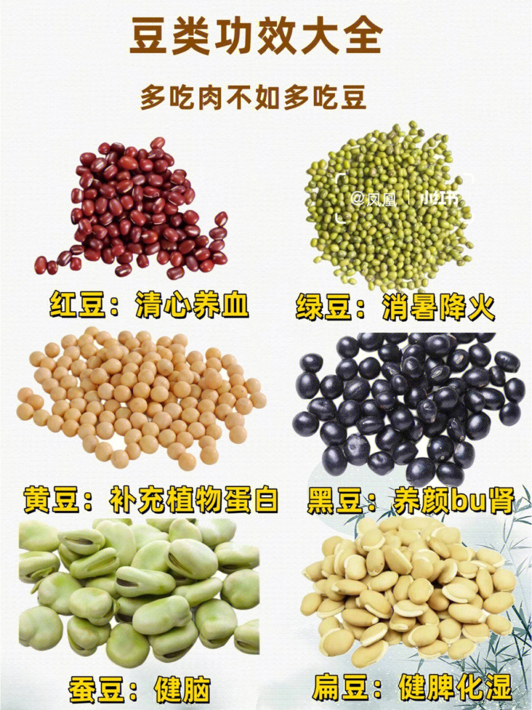 豆的种类名称和图片图片
