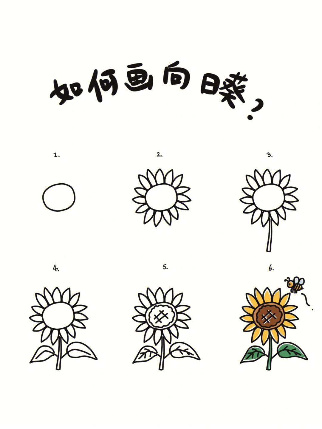 11种向日葵的画法步骤图片