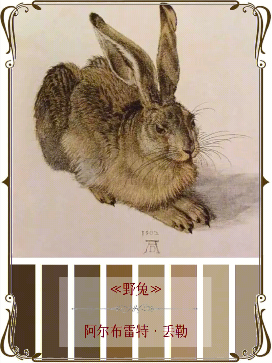 丢勒小野兔赏析图片