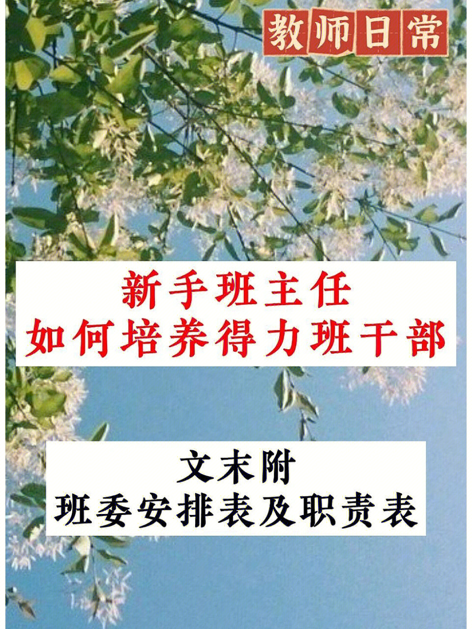 教师日常新手班主任如何培养得力班干部