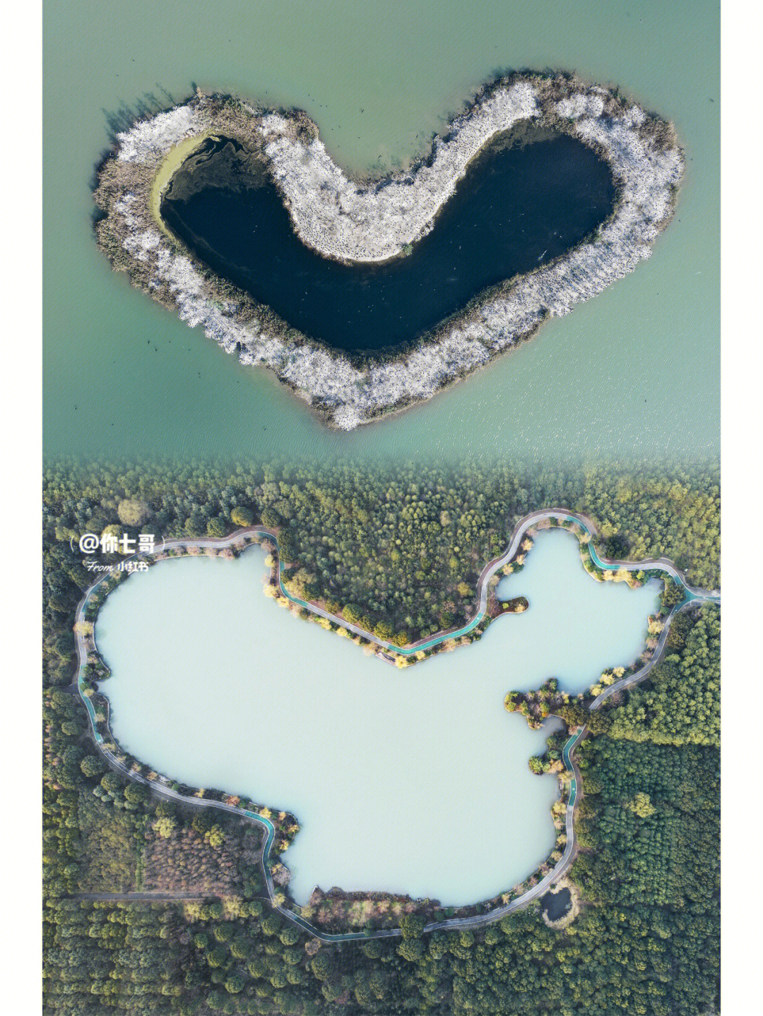 翡翠湖心形公路图片