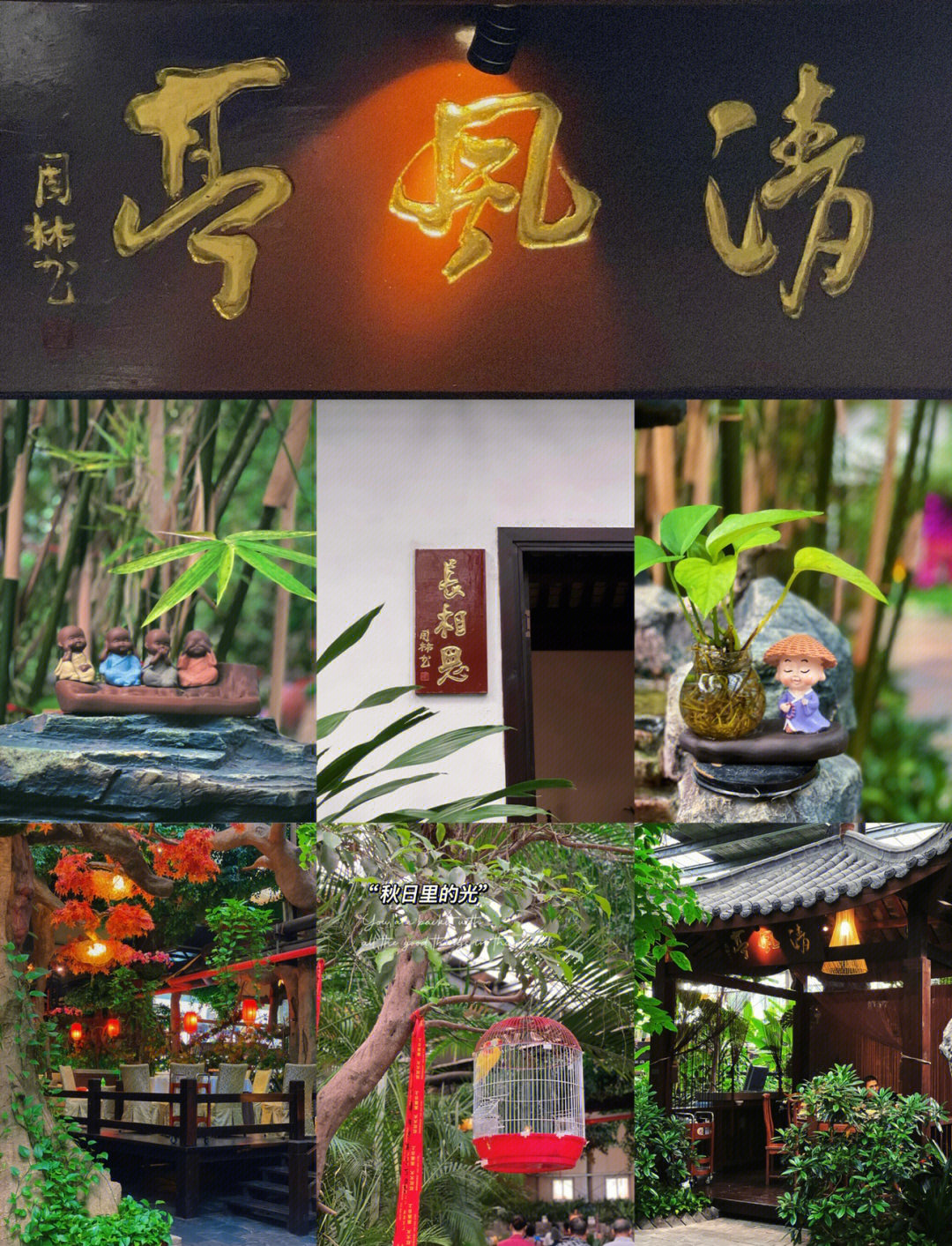南昌市政生态园游记图片