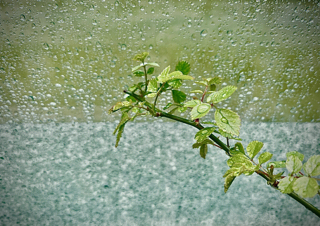 春雨春雷的图片图片
