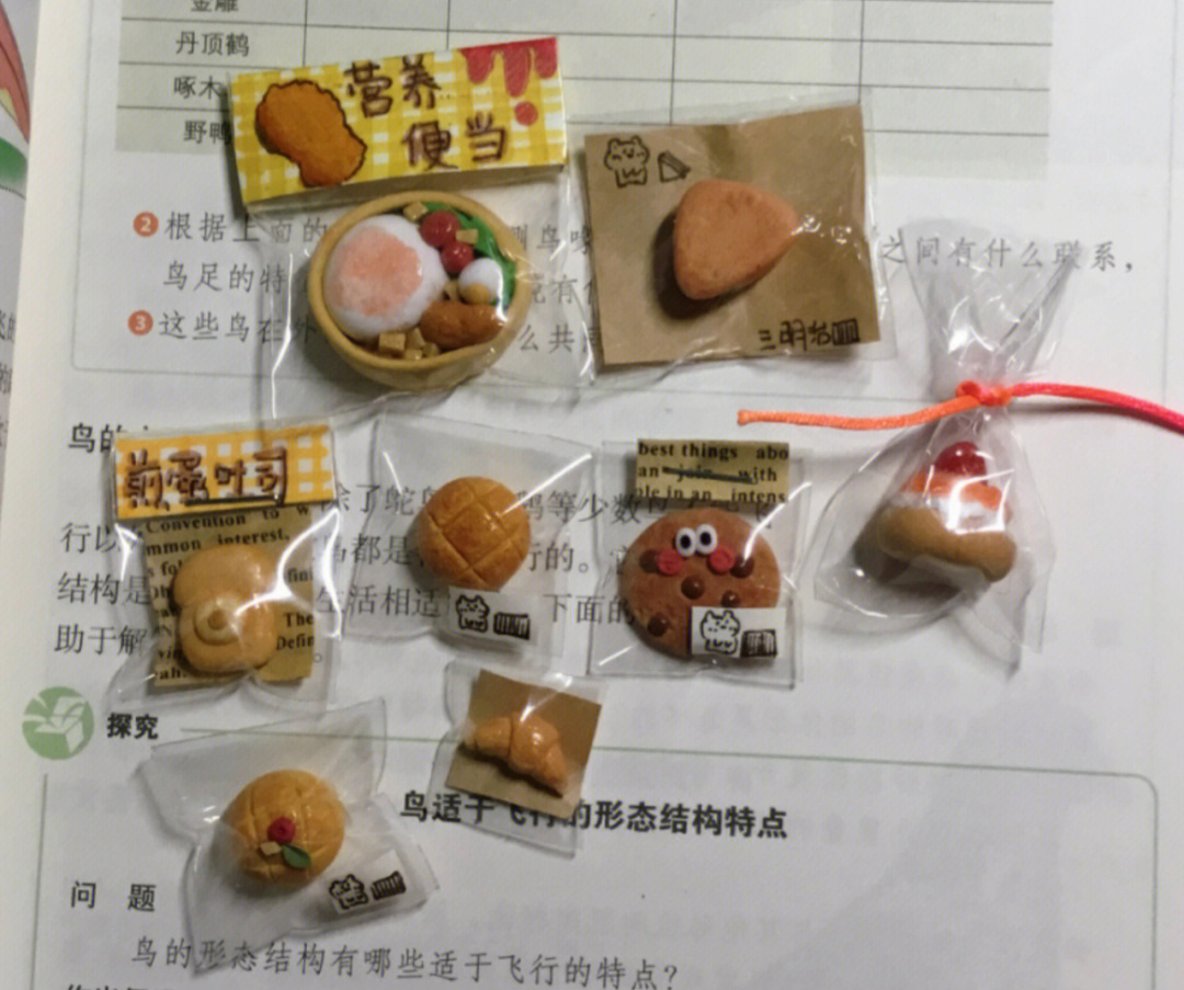 小学生自制食玩包图片