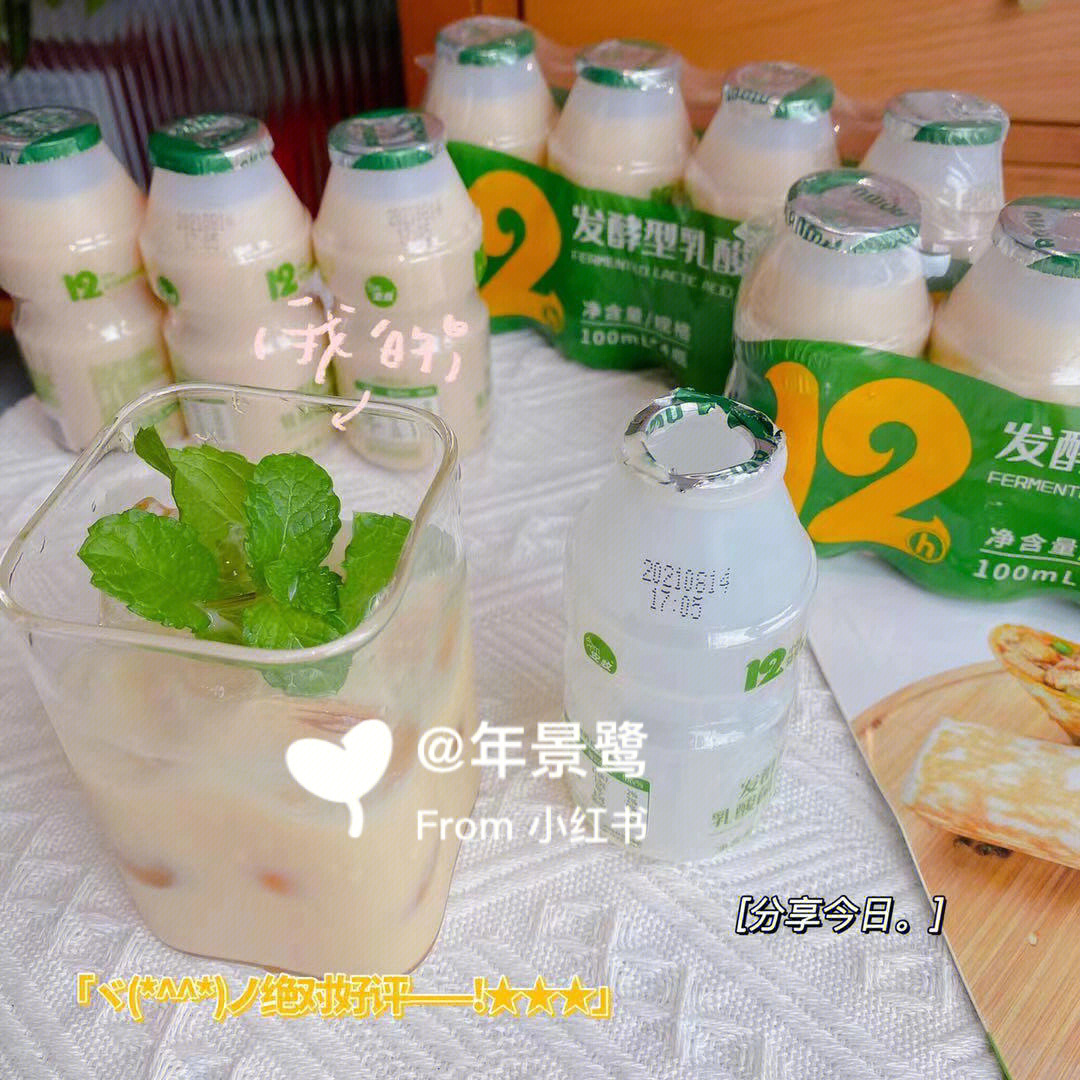 乳酸菌 