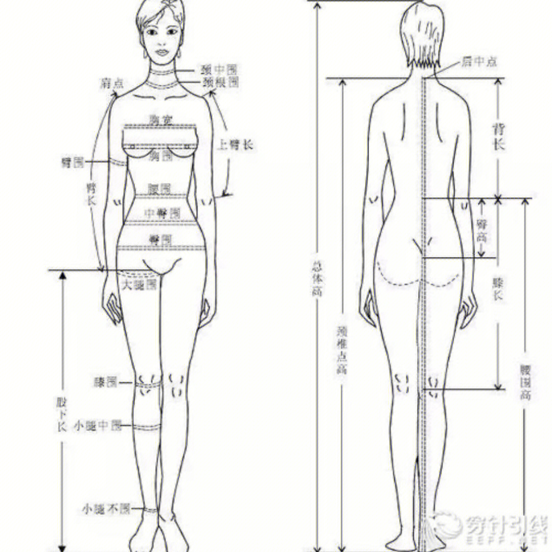 测量并记录下自己的身高,体重及三维尺寸(测量工具:软尺,某宝5元以内