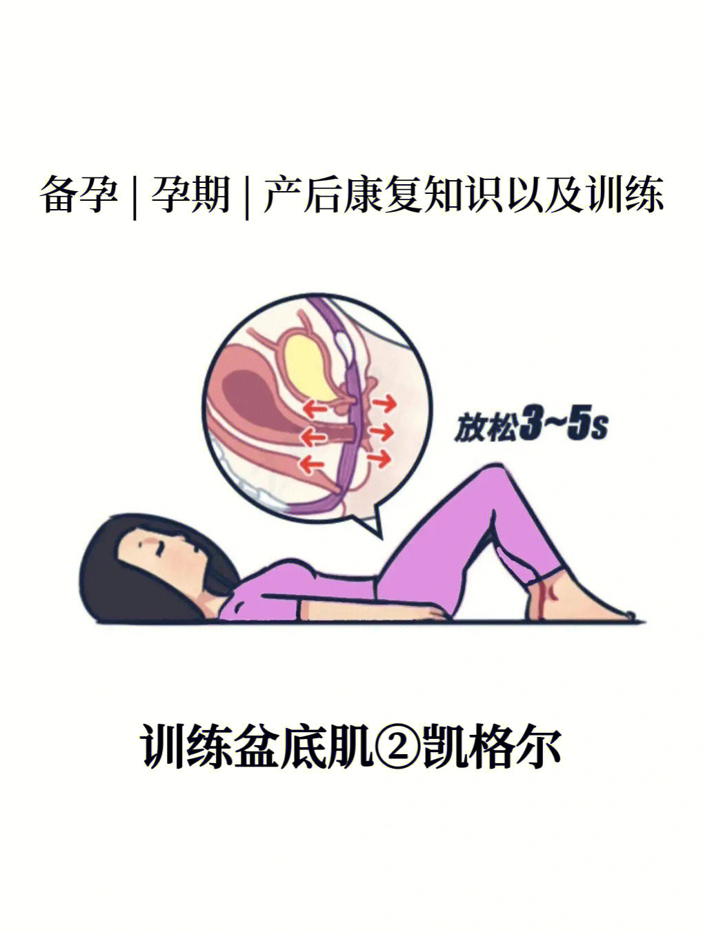 骨盆底肌肉训练示意图图片