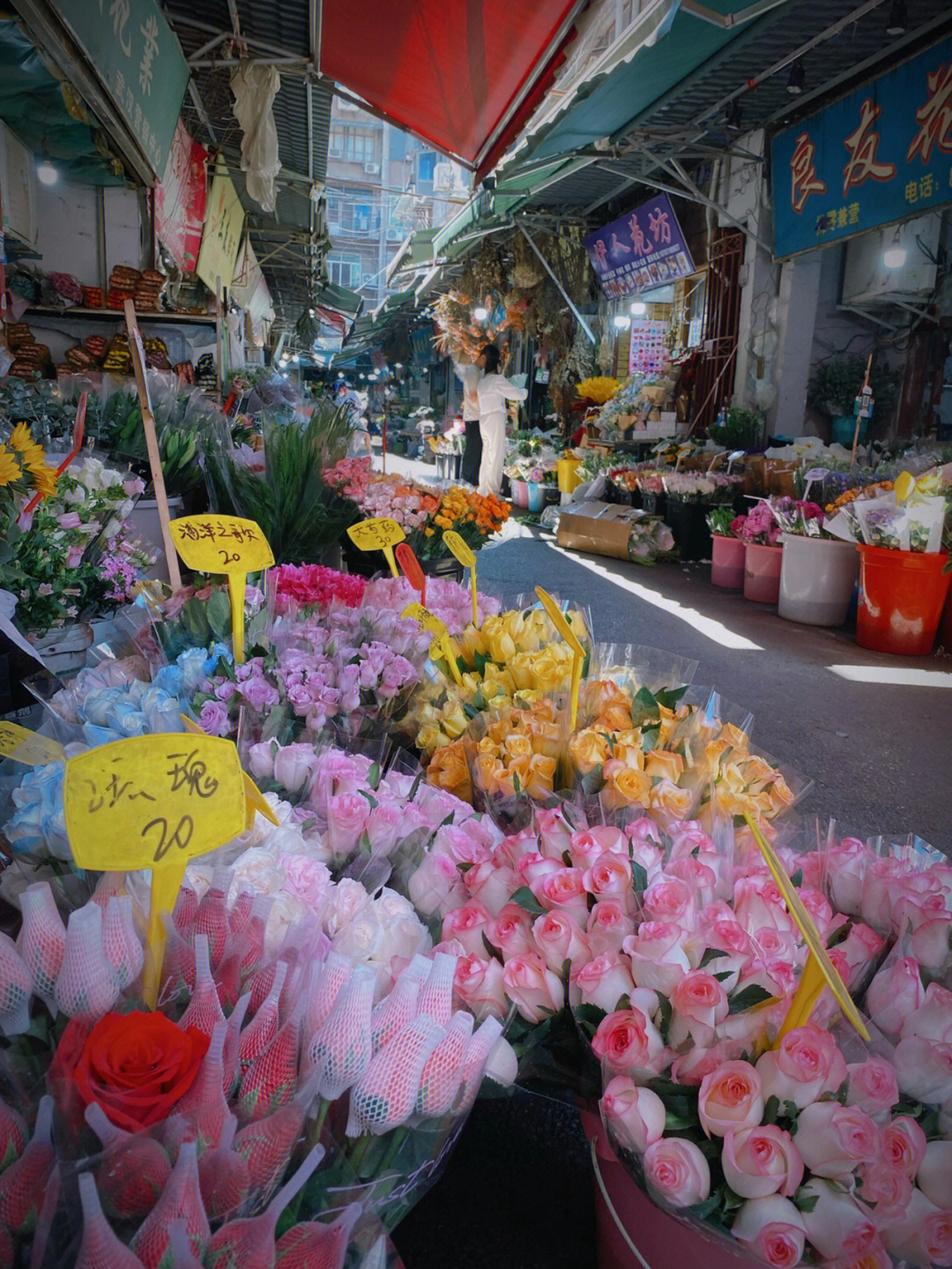 循礼门花市图片