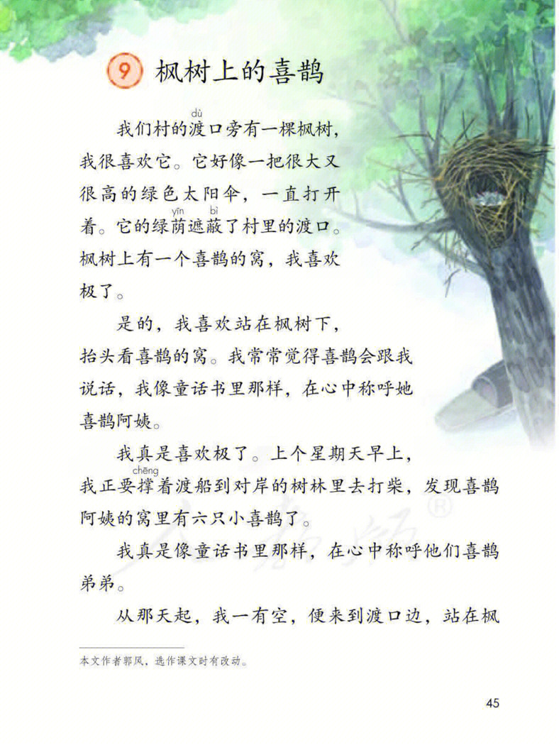 枫树上的喜鹊作业本图片
