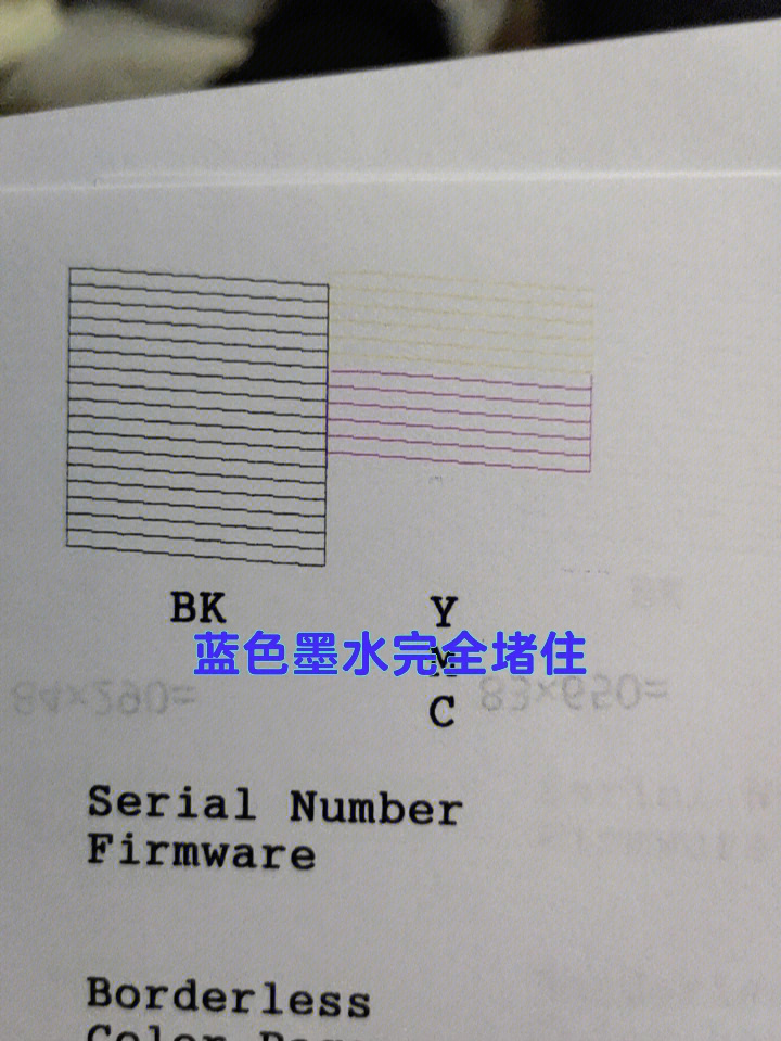 打出来颜色不如刚开始好看 一检查发现蓝色墨水堵上了 而且堵的很彻底
