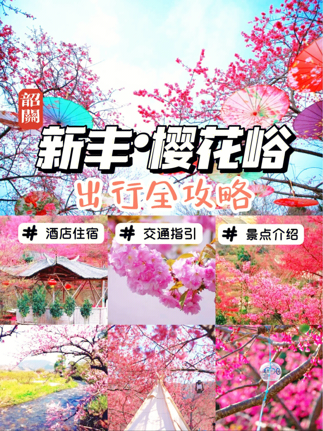 韶关新丰樱花峪花期图片