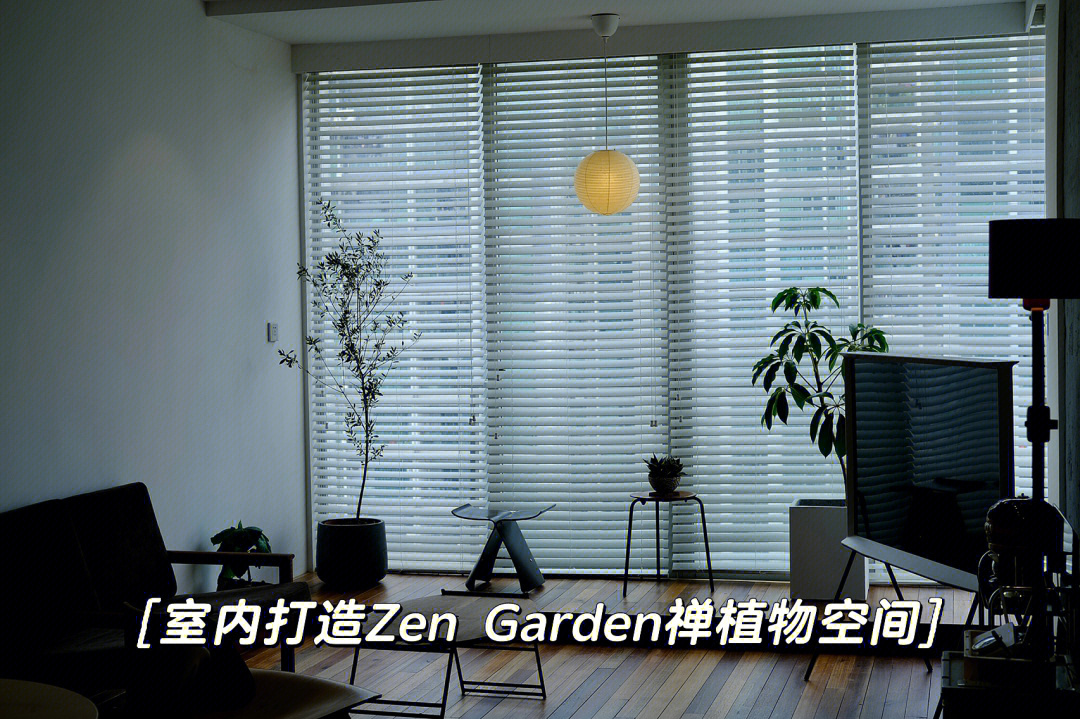 好设计部屋466zengarden禅植物空间