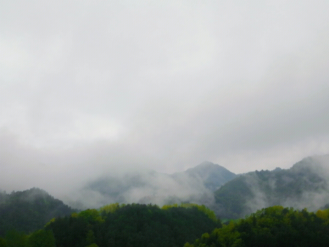 雨后清晨昼风图片