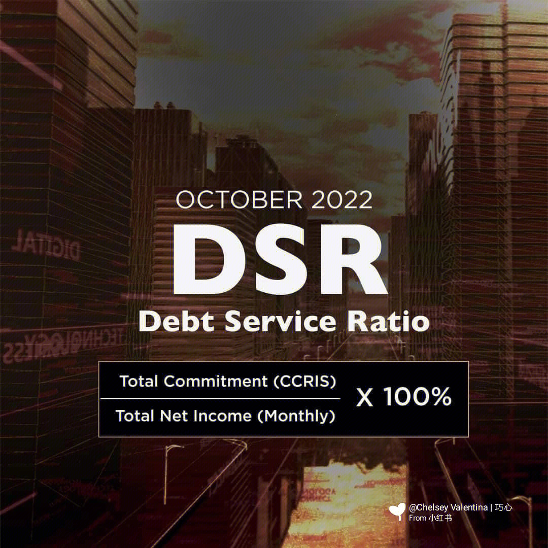 part 2 dsr(debt service ratio)