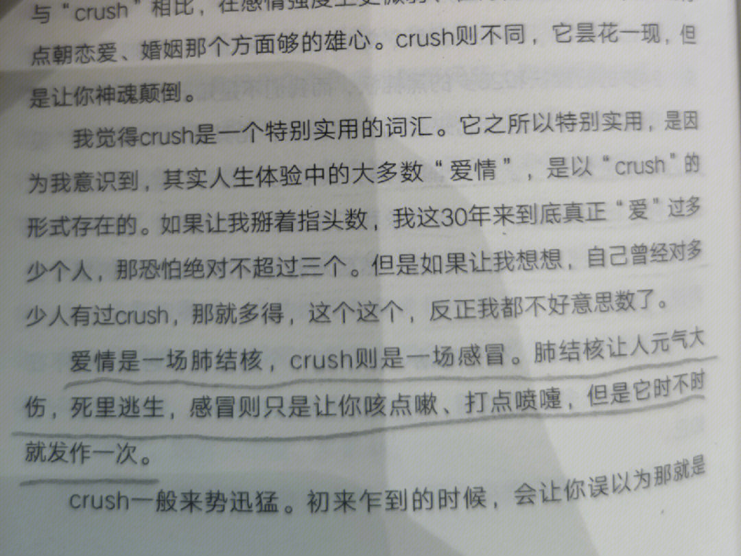 crush暗示图片