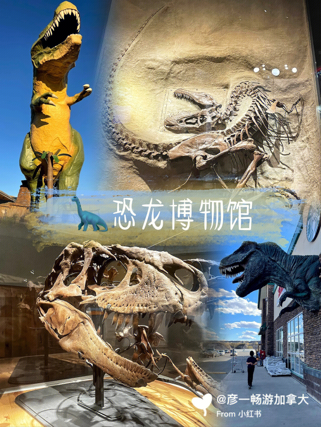 中国最大的恐龙博物馆图片