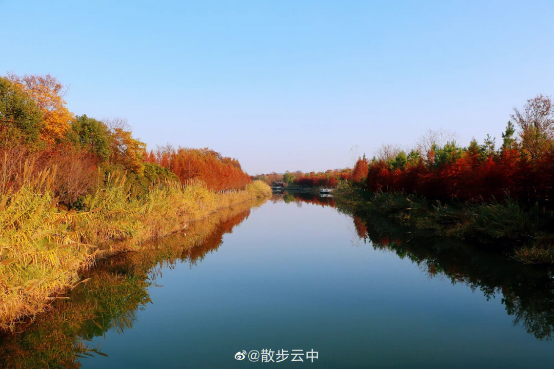 杭州沿江湿地公园介绍图片