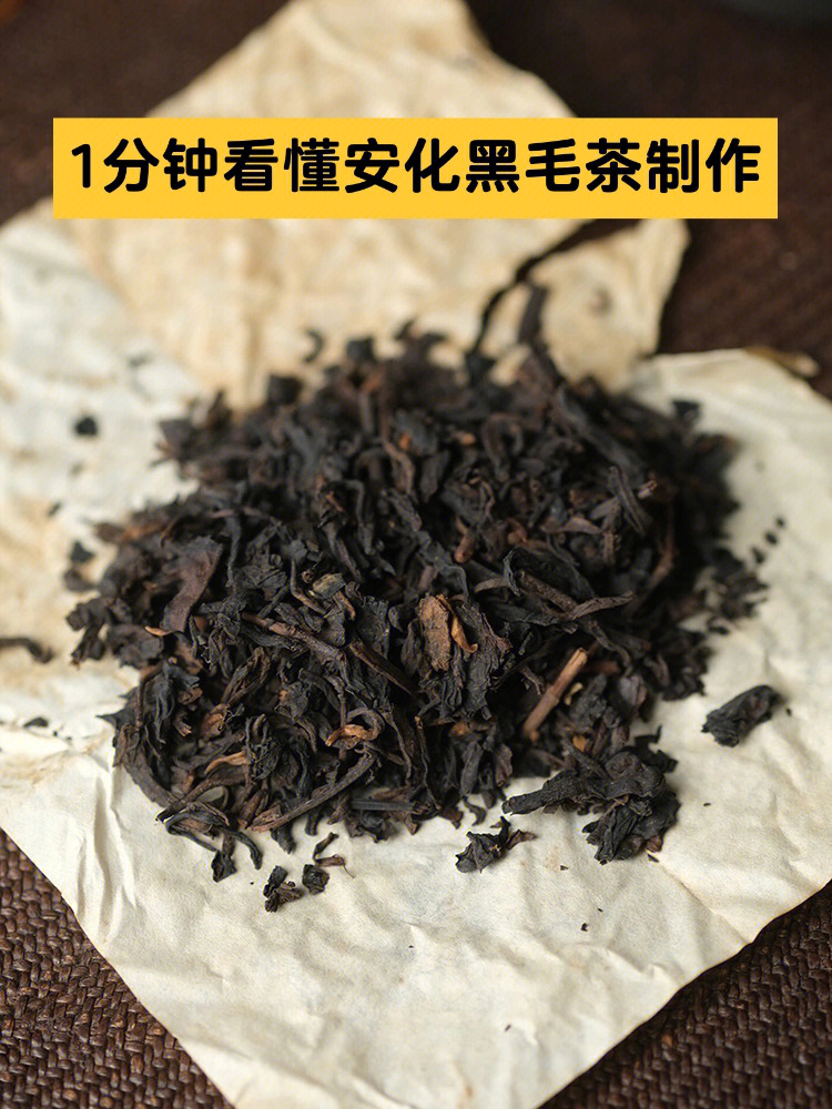 1分钟看懂安化黑毛茶的制作工艺