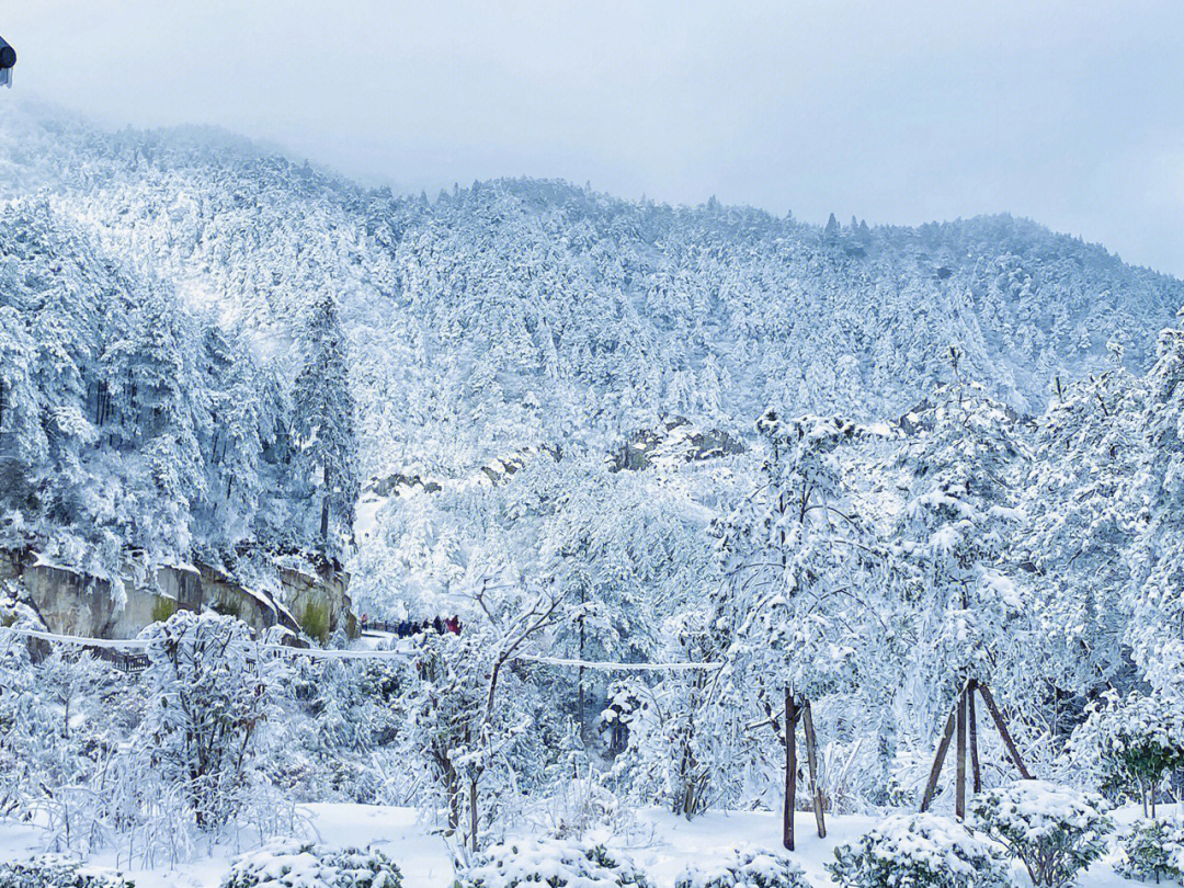 羊狮慕雪景